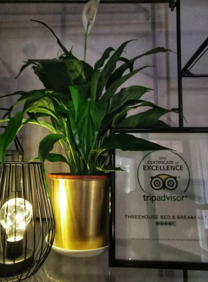 Treehouse Hostel Kuching Extérieur photo